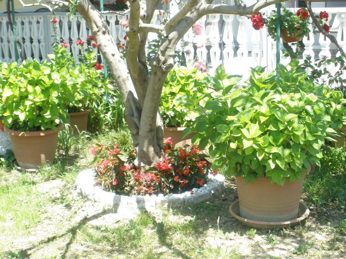 Apartmani I Sobe Mara Palit Ngoại thất bức ảnh